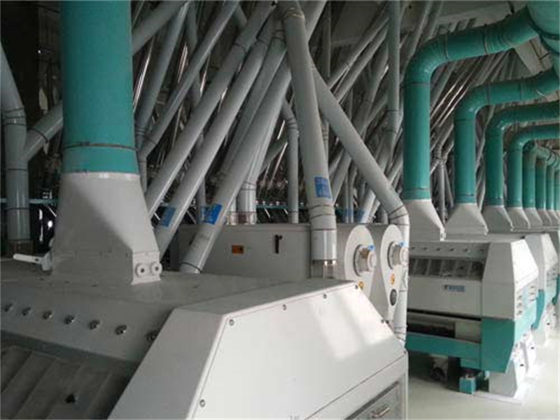 2025新款玉米面粉加工设备生产线作业原理解析—河南中瑞粮油机械有限公司实力推荐