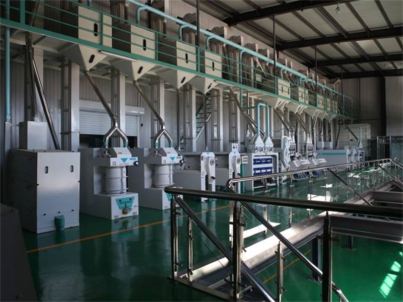 50吨专业小麦面粉加工厂生产线工艺流程解析—河南中瑞粮油机械有限公司厂家推荐