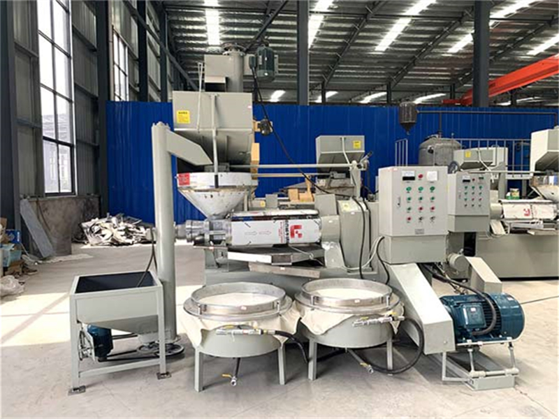 自动化小型磨面机生产线工艺流程解析及价格分析——河南中瑞粮油机械有限公司厂家推荐